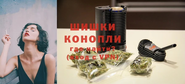 прущие грибы Киреевск
