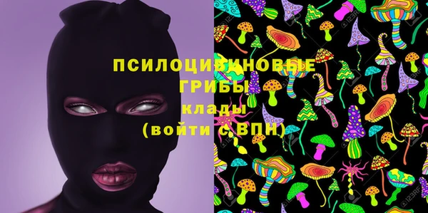 синтетический гашиш Каменногорск