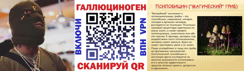 kraken   Инта  Галлюциногенные грибы Cubensis 